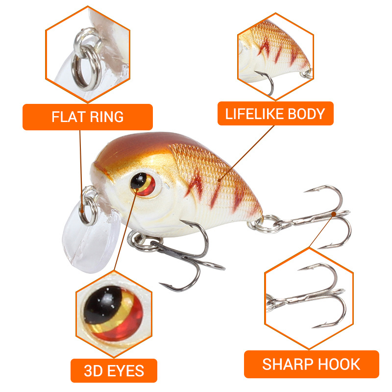 1 Chiếc Nổi Quay Mồi Câu Cá Wo - đánh giá và giá Quality Fishing Equipment